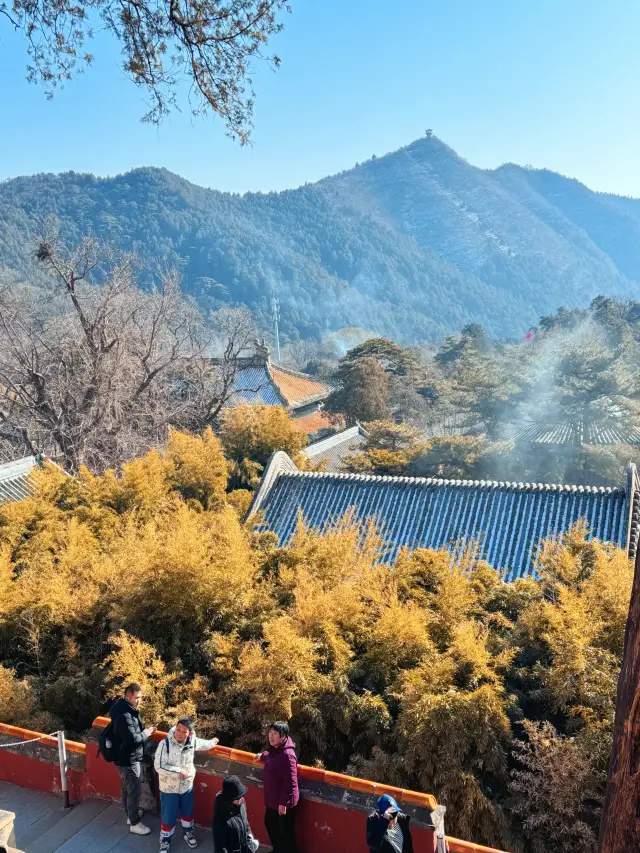 Beijing | Dreams come into reality, come to Tanzhe Temple to touch the fish