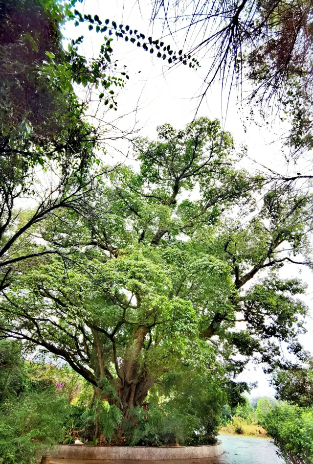 【康養聖地·人文興義】赤星広場：荒廃も風景