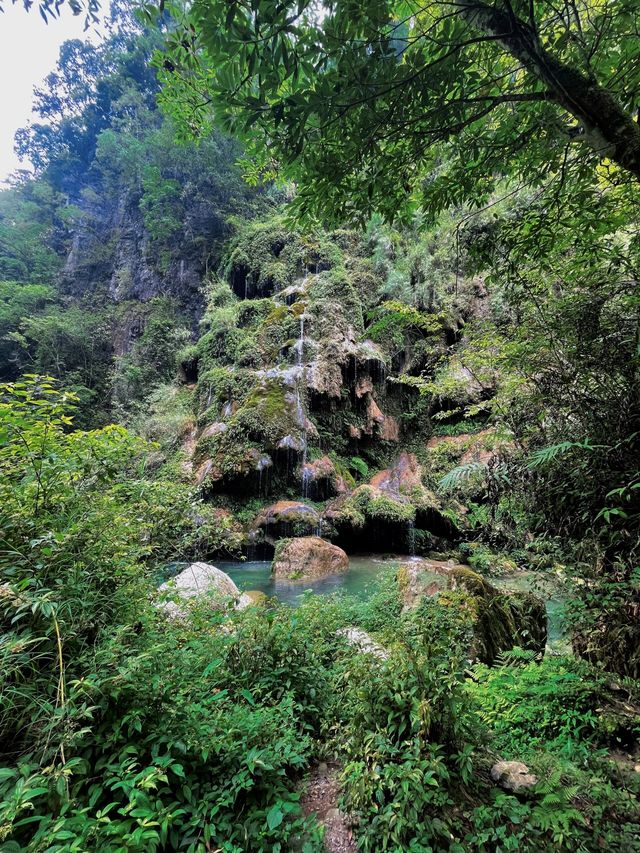 貴州開陽紫江地縫遺忘的荒廢喀斯特地貌