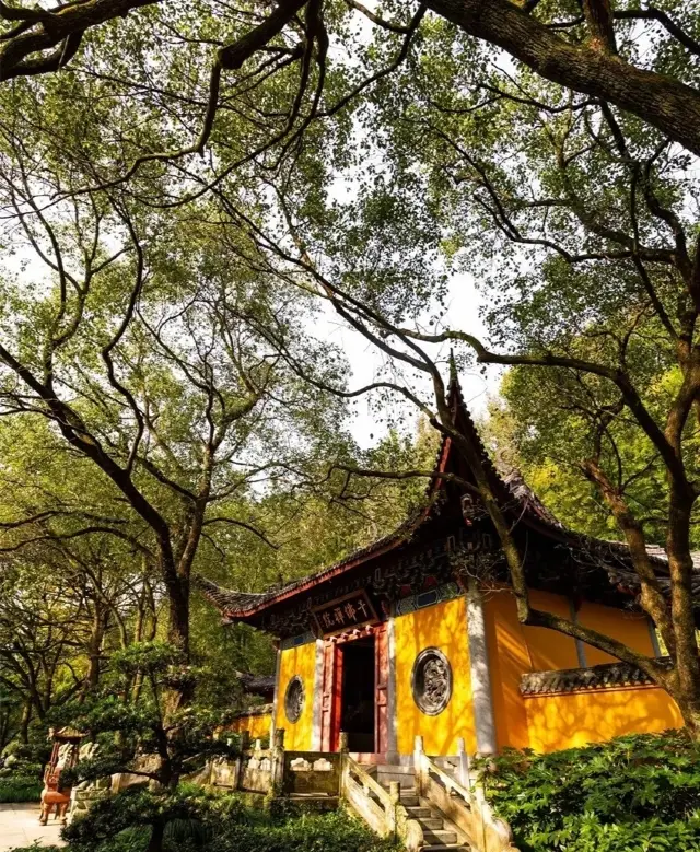 Go! Xinchang Big Buddha Temple is free of charge now!