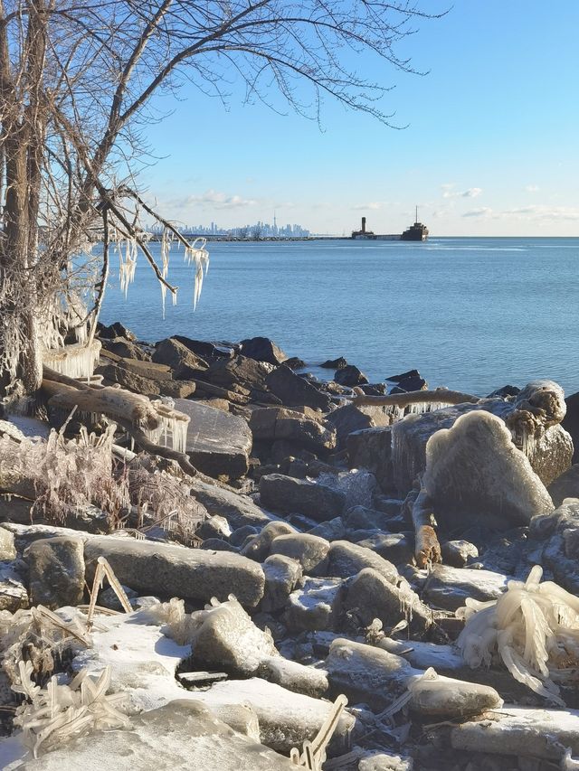 安大略湖畔多倫多， 這裡仍然大雪紛飛，天寒地凍