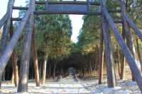 走遍山東之濟寧必打卡景點【一】水泊梁山