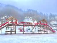 雲山冰雪樂園之帝企鵝日記