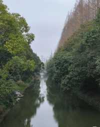 上海長興島，網紅丁字壩打卡
