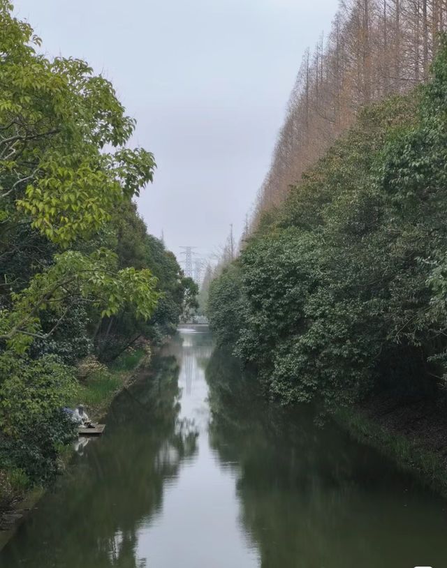 上海長興島，網紅丁字壩打卡