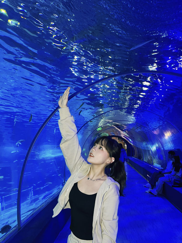 雙節出遊來掉落藍色星球吧🫧