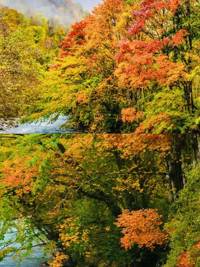 成都から3時間で到着でき、メラドの配色の美しい秋景色があります