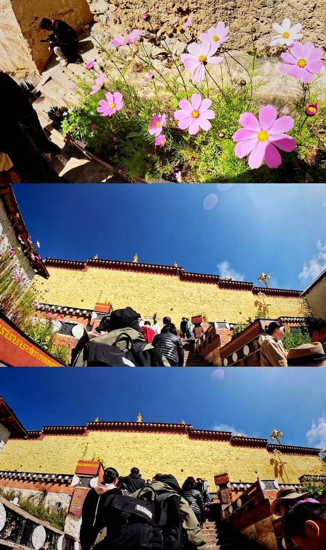 噶丹松贊林寺｜是寺院，還是寺廟？