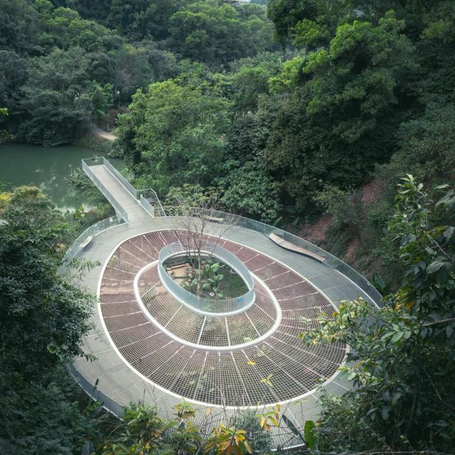 深圳踏青|穿行在城市山林中的天空之境