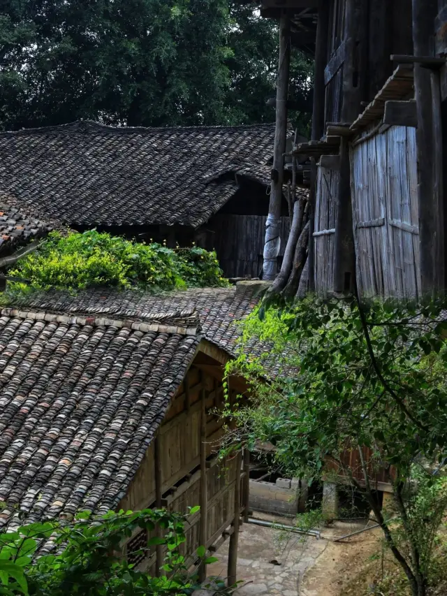 A 600-Year-Old Ancient Village | One of the Ancient Buyi Villages | There are too many historical mysteries here