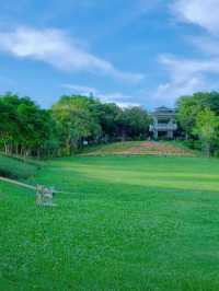 深圳草坪公園天花板，這裡也太chill了吧！！