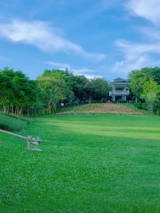 深圳草坪公園天花板，這裡也太chill了吧！！