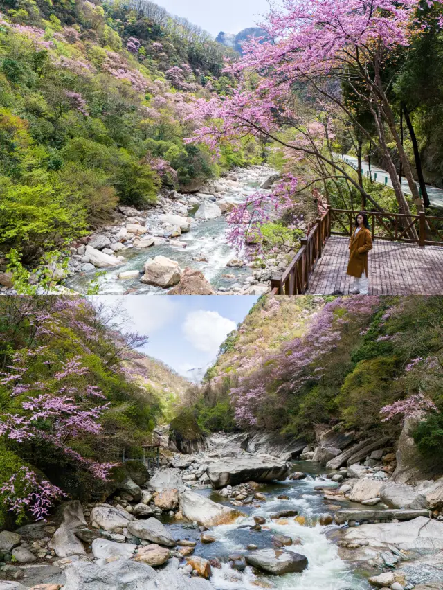 広元の宝のような観光スポット、春が暖かく花が咲く時期に急いでチェックインしに行こう～