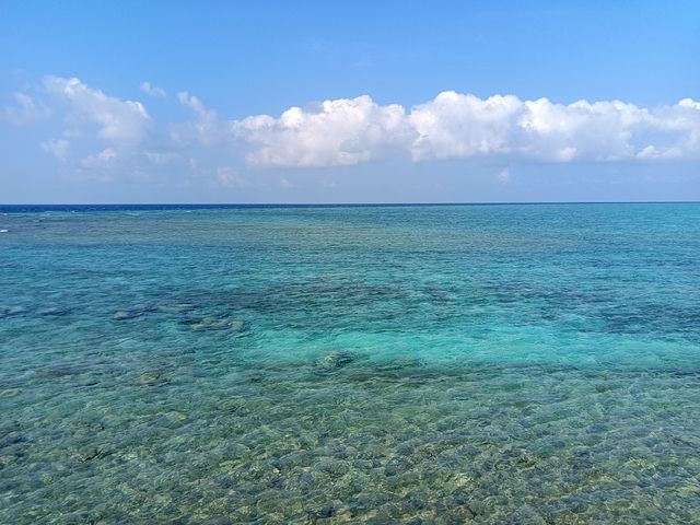 西沙羚羊礁 西沙羚羊礁