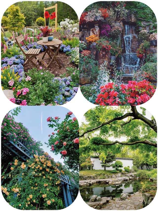 春日探花記：上海植物園的花海漫步！