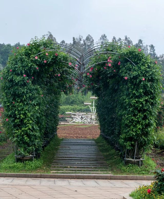 長沙·省植物園|共赴一場關於春天的浪漫花事春天有約 鮮花不誤