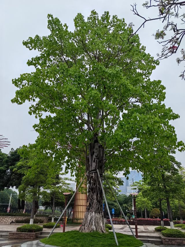 佛山千燈湖景區