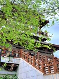 夏日避暑聖地，商丘漢梁文化公園遊玩全攻略
