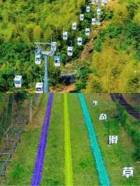 天際森谷山野樂園｜發現了浙江的寶藏樂園！
