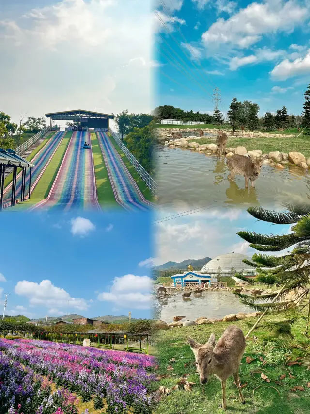 Foshan Yingxiang Ecological Park is a fantastic destination for family outings, offering endless fun for both you and your children!