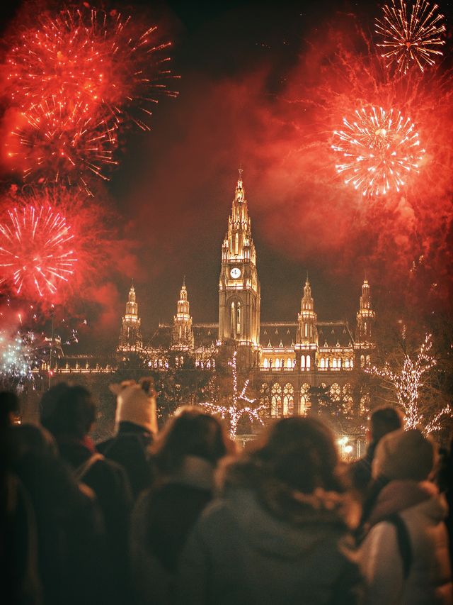 維也納雪中的聖誕集市，夢幻感滿滿。