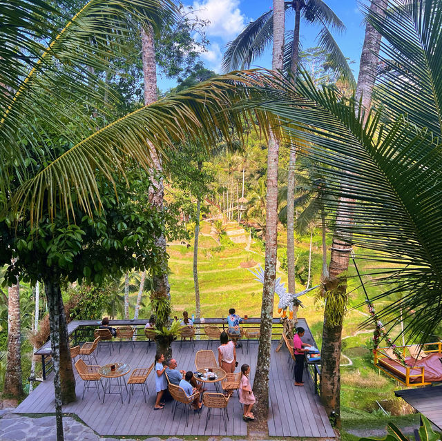  Bali Swing to Rice Trails 🌾 