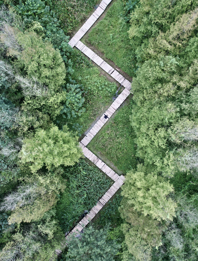 藏在重慶市區的徒步秘境｜森林溪流草坪