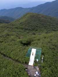 自駕長沙絕美無人森林公路，去感受林中自由的風