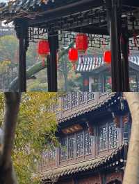 泰州 在拙政園人擠人不如在喬園享一方寧靜