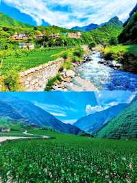 汐兒旅行|在山野納涼採摘·孟屯河谷