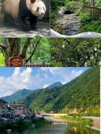 豐富的物種、茂盛的植被和山水風光