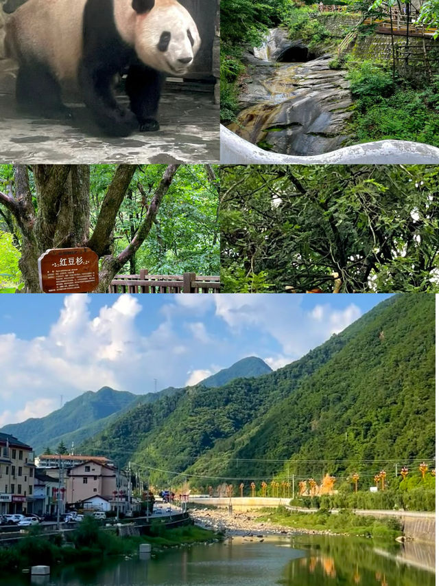 豐富的物種、茂盛的植被和山水風光