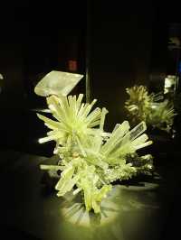 後悔沒早點來休斯頓自然科學博物館