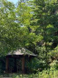 廈門洋麻山森林公園遊玩攻略！超詳細！