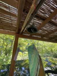 京都夏季苔綠之行