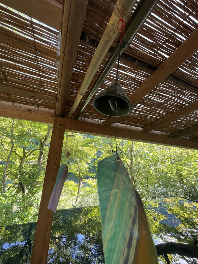 京都夏季苔綠之行