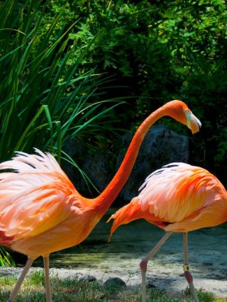 🌟 洛杉磯最適合家庭遊玩的景點揭曉 🎢🐠🔭🦁