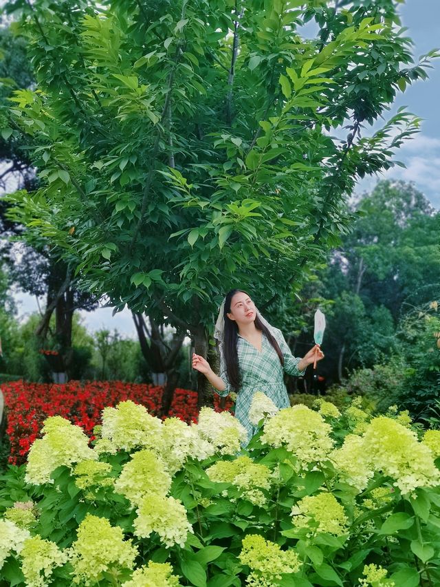 在成都！！鮮花織就的小徑