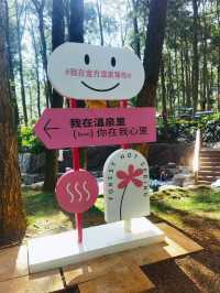 泡湯好去處～金方森林溫泉