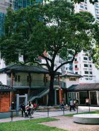 香港小眾路線北角一日citywalk吃玩住攻略