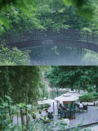 江浙沪親子遊|週末來浦江泊隱柳秀玩水啦
