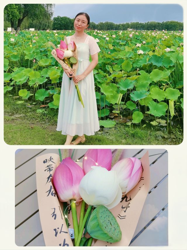 與夏同行，在固城湖無邊荷塘！！！