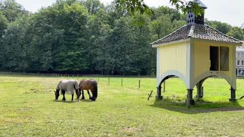 Fairytale-like Arnhem Netherlands Open Air Museum — traveler post in Arnhem