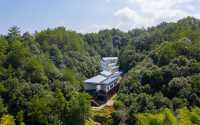 住進森林天然氧吧｜自在平江野奢度假酒店