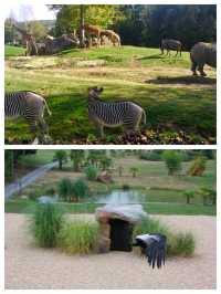 法國聖艾尼昂博瓦爾動物園