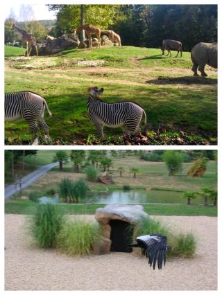 ZooParc de Beauval in Saint-Aignan, France