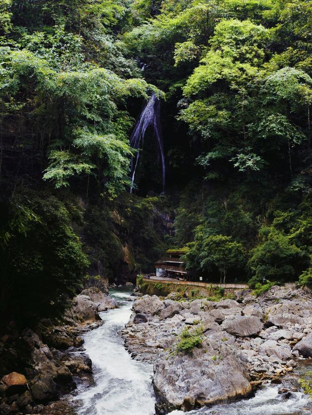 開陽秘境：南江大峽谷的自然奇觀與極限挑戰