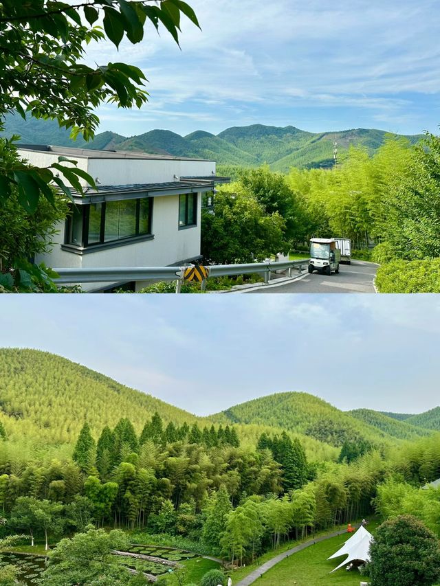 今日爆款！湖州慧心谷綠奢度假村