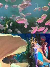 體驗一次難忘的2日海洋之旅。