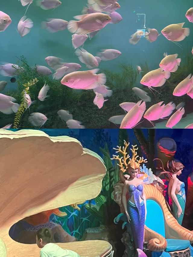體驗一次難忘的2日海洋之旅。